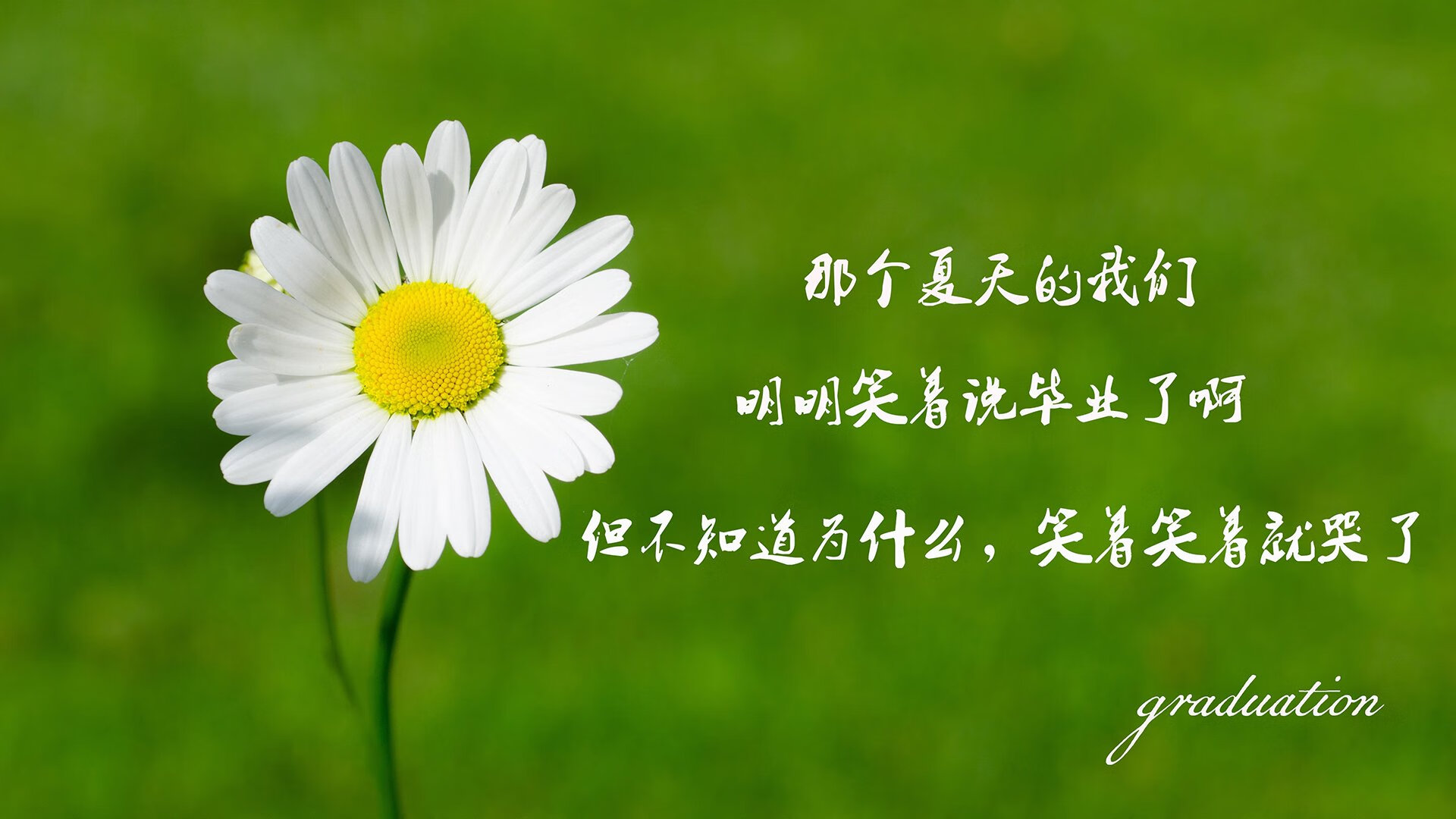 《【电竞衍生品】周边市场火热,限量皮肤引爆收藏热潮》,电竞周边 网站
