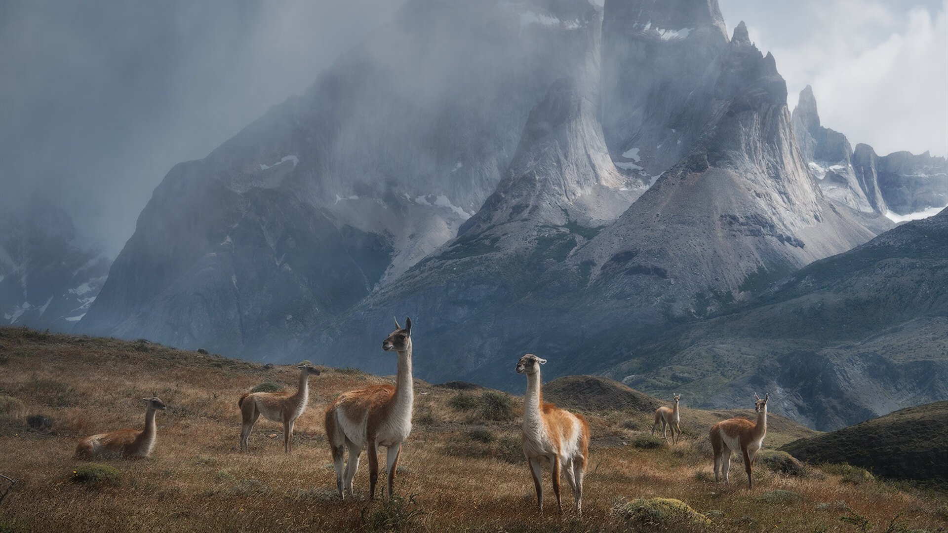 教练战术档案：本赛季最具创新的战术体系，教练在布置战术时讲到了常用的比赛阵型