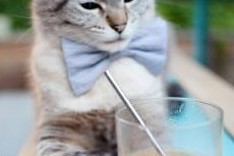 kaiyun登录入口-意甲联赛中出现多位年轻天才，未来可期，意甲最佳青年球员