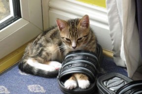 开云体育入口-中国足球竞赛制度不断完善，激励机制持续优化，常用的足球竞赛制度