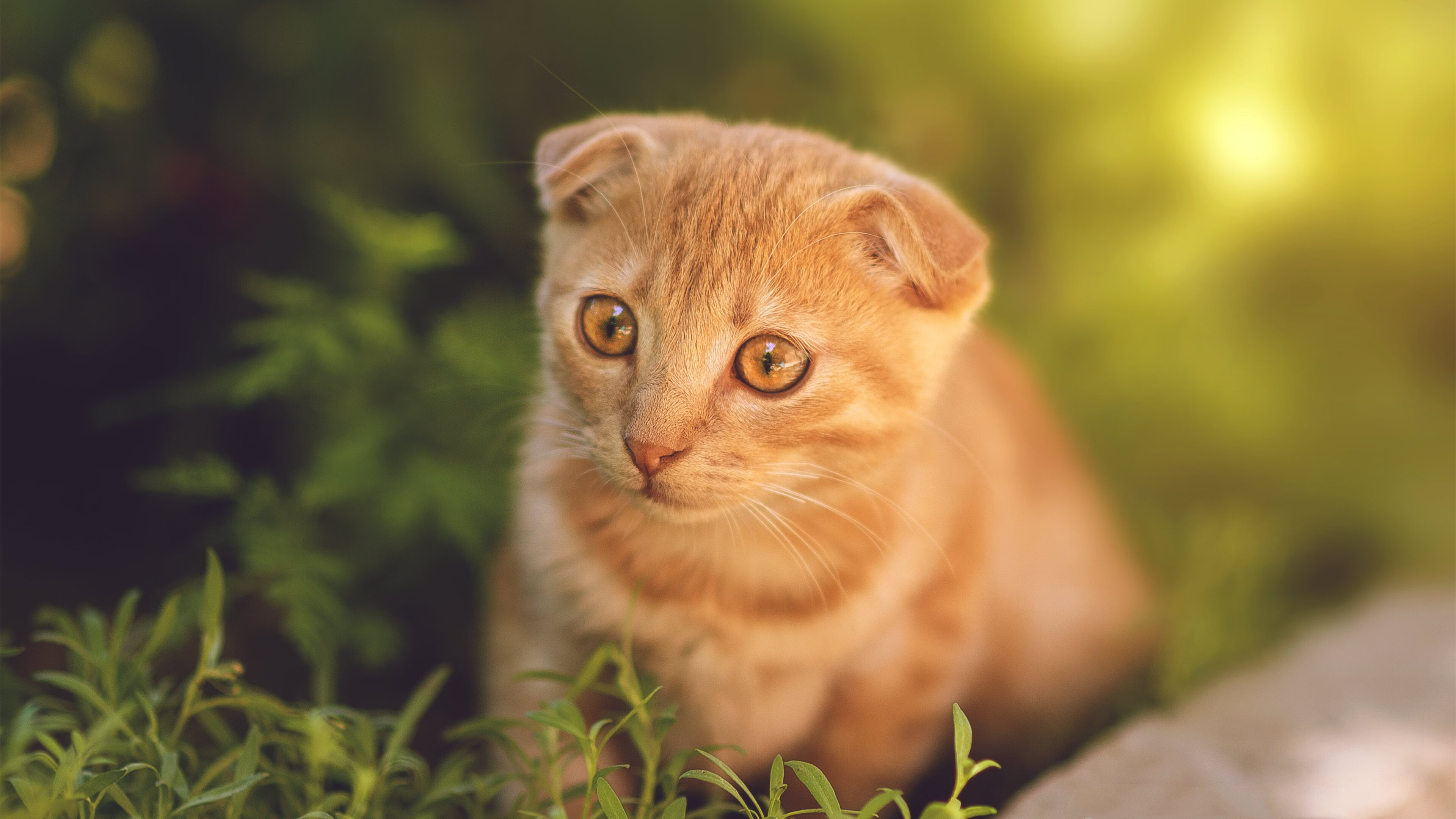 《全球电竞市场TOP10地区分析:谁是行业领头羊?》,全球电竞公司排名