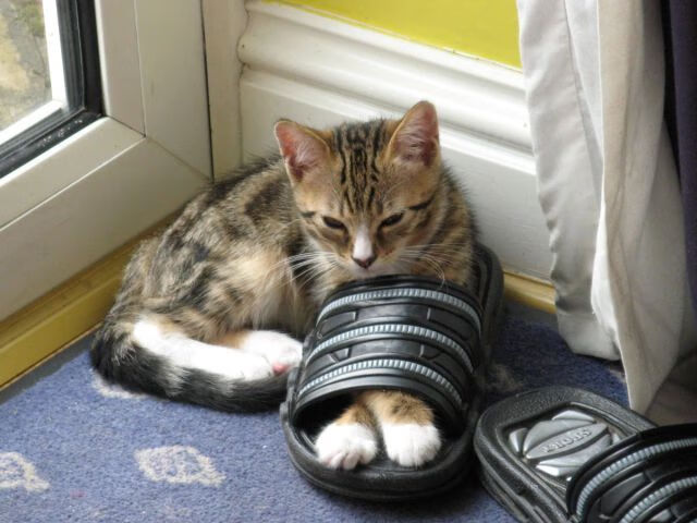 中国足球竞赛制度不断完善,激励机制持续优化,常用的足球竞赛制度